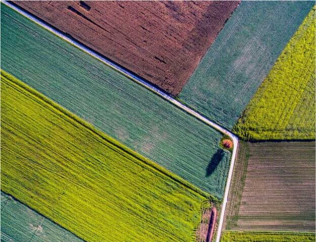 drony w rolnictwie - zdjęcie z lotu ptaka kolorowych pół